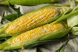 Organic Corn